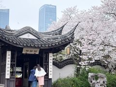 -巡塘古镇