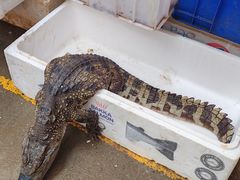 -大观篆新农贸市场