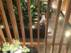 -浅深(北京北四环精品店)