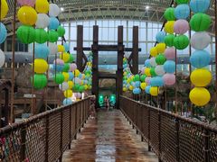 -杭州开元森泊度假乐园