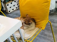 -五进制 Coffee Shop