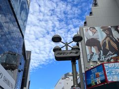 -涩谷区