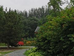 -东郊湿地公园