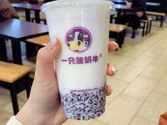 -一只酸奶牛(八一路店)