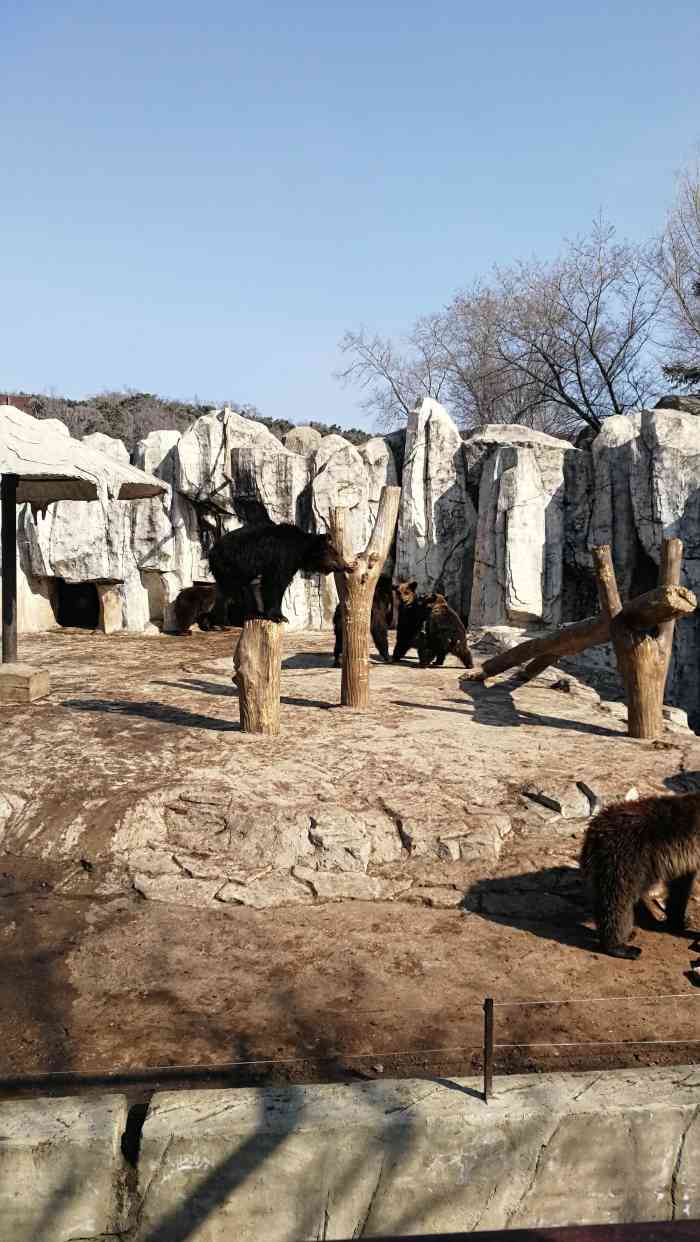 瀋陽森林動物園