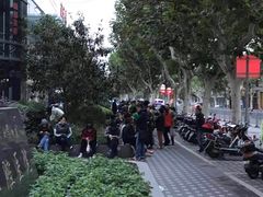 -同济大学附属口腔医院