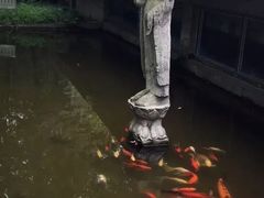 -鹿野苑石刻艺术博物馆