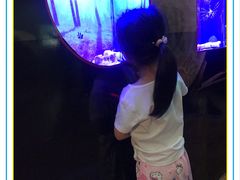 -台州海洋世界