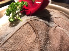 -Xiao Long Kan Hotpot Sydney 小龙坎老火锅
