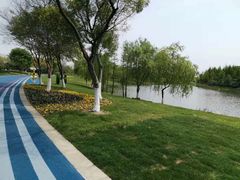 -贡湖湾湿地公园