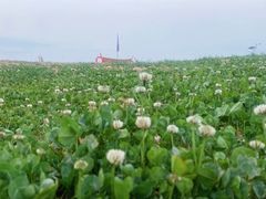 -阳宗海湿地