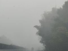 -香香擂茶馆(城南完小店)