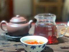 -灵龟之家百象馆(百象馆联合旗舰店)