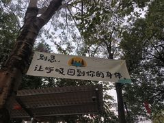 -长洲岛