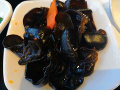 黑木耳-百事佳烧鸭牛腩(上海虹桥站店)