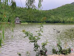 -静之湖度假区