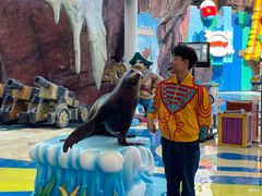 -海合安成都极地海洋公园