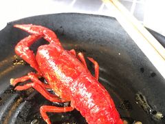 -西苑半岛·中餐厅