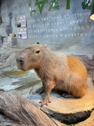 -Zoolung Zoolung动物主题公园(海信广场店)