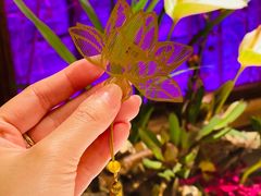 -叶叶菩提·晋福宫