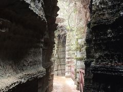 -梭布垭石林景区