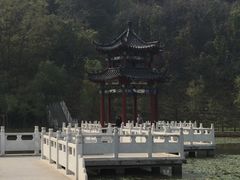 -原山国家森林公园