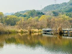 -西湖风景区-江洋畈生态公园