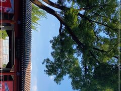 -北京鲁迅博物馆(北京新文化运动纪念馆鲁博馆区)
