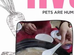 -光明清汤羊(宝业路店)