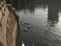 -迎泽公园