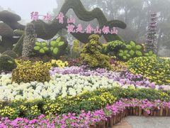 -南山植物园