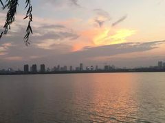 -艾溪湖湿地公园