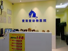 -瑞鹏宠物医院·爱宠堂·骨外专科(西荷分院)