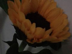 -临界音乐酒馆·小龙虾·江湖菜(华熙LIVE·鱼洞店)