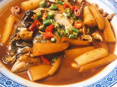 -张鸟园农家乐(张鸟园店)