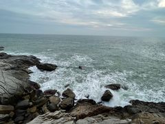 -广东惠东海龟国家级自然保护区