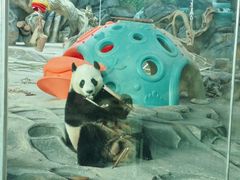 -武汉动物园