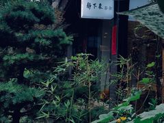 -泡桐树街