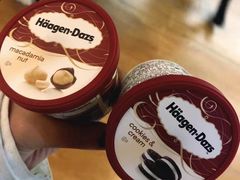 -哈根达斯(石家庄北国店)