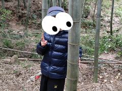 -南京市无想山景区