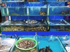 水产区-桔子海鲜烧烤大排档(台东店)