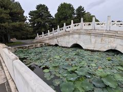 -清东陵