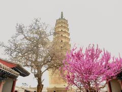 -白塔山公园