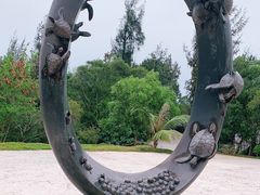 -广东惠东海龟国家级自然保护区