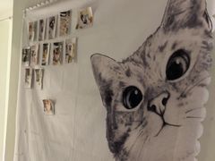 -艾吉宠物医院·疑难杂症转诊中心·猫友好(碧江路院)