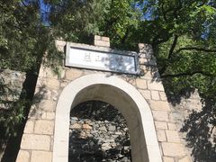 -北京鹫峰国家森林公园