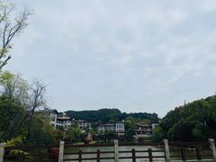 -铁山坪森林公园