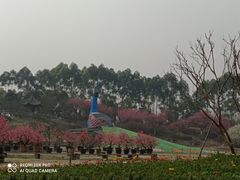 -秀丽东方