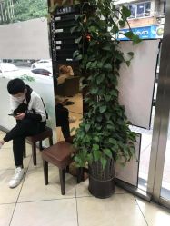 点击看大图 -环球蝶上美业连锁