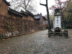 -灵谷景区